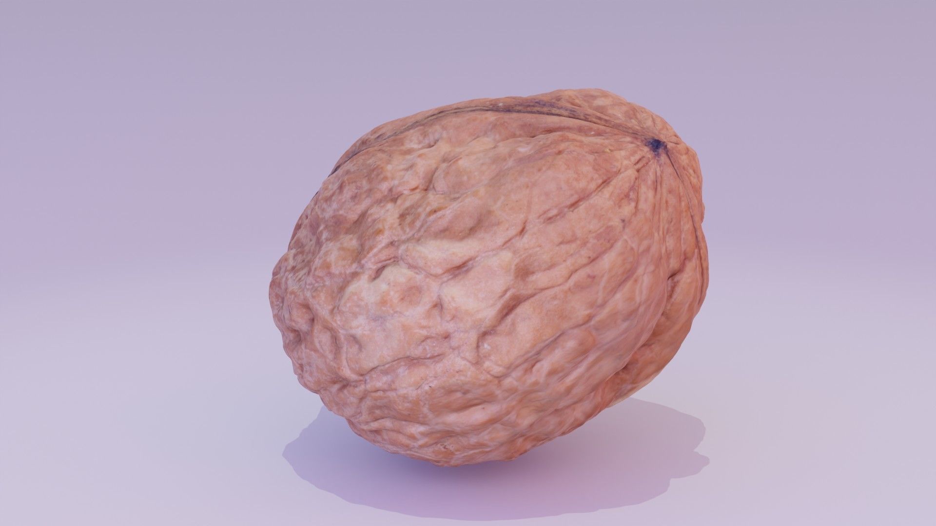 Walnut fruit 01 high-poly 3D model_18