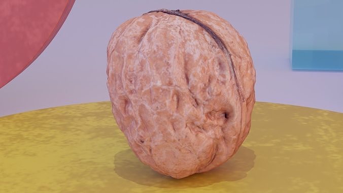 Walnut fruit 01 high-poly 3D model 6