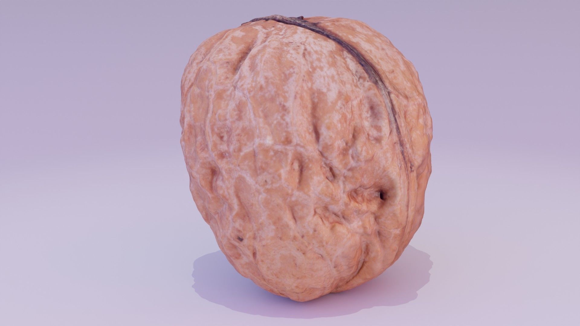 Walnut fruit 01 high-poly 3D model_15