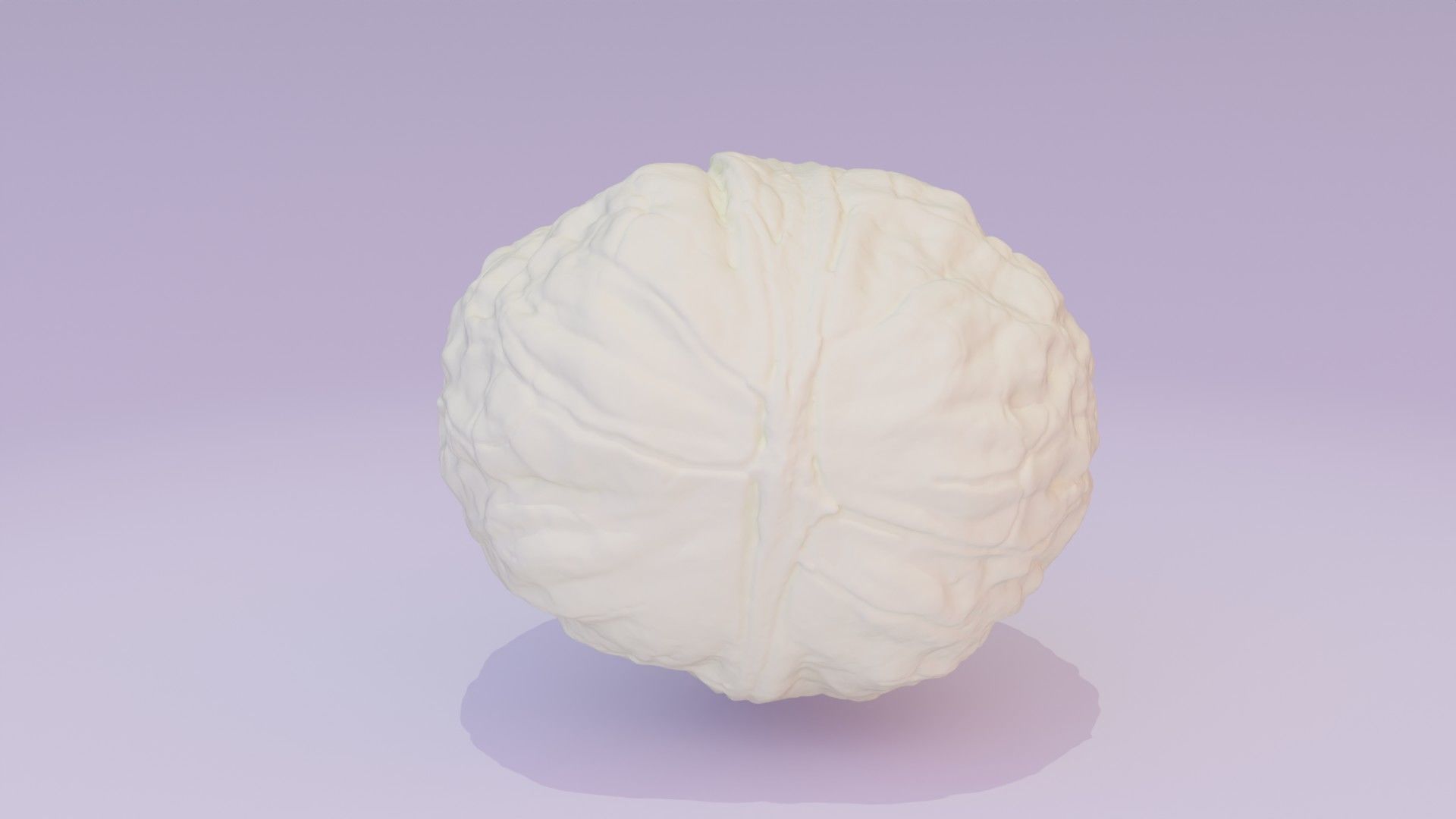 Walnut fruit 01 high-poly 3D model_31