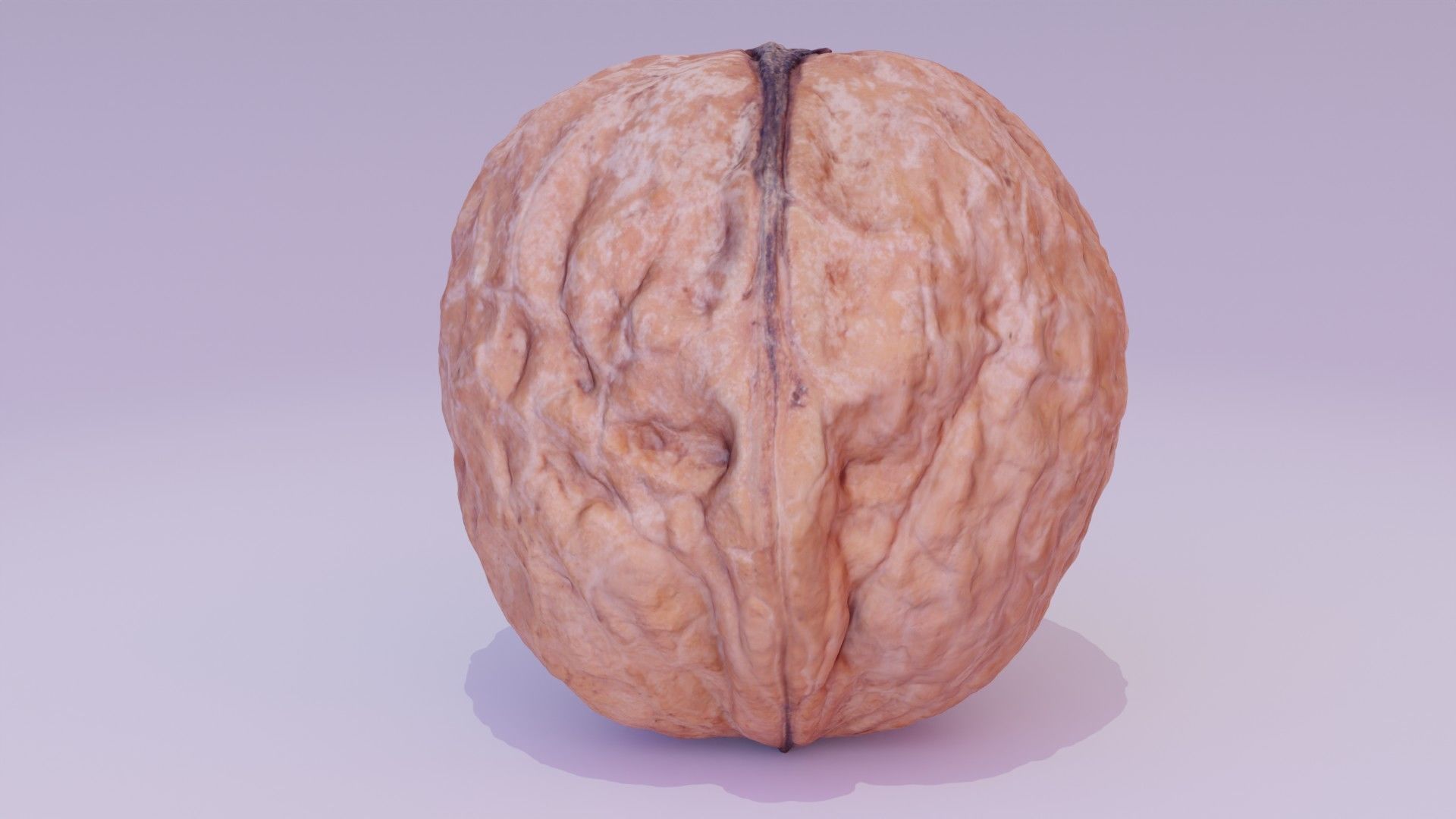 Walnut fruit 01 high-poly 3D model_14