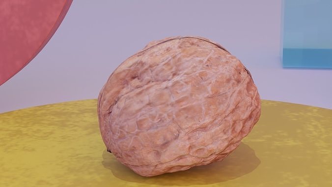 Walnut fruit 01 high-poly 3D model 3