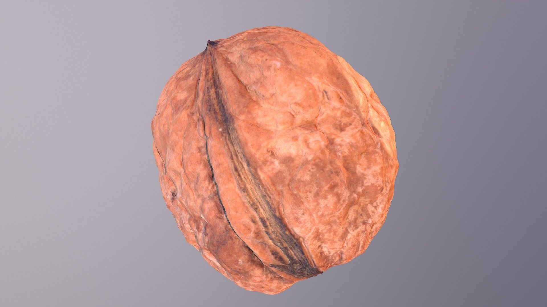 Walnut fruit 01 high-poly 3D model_35