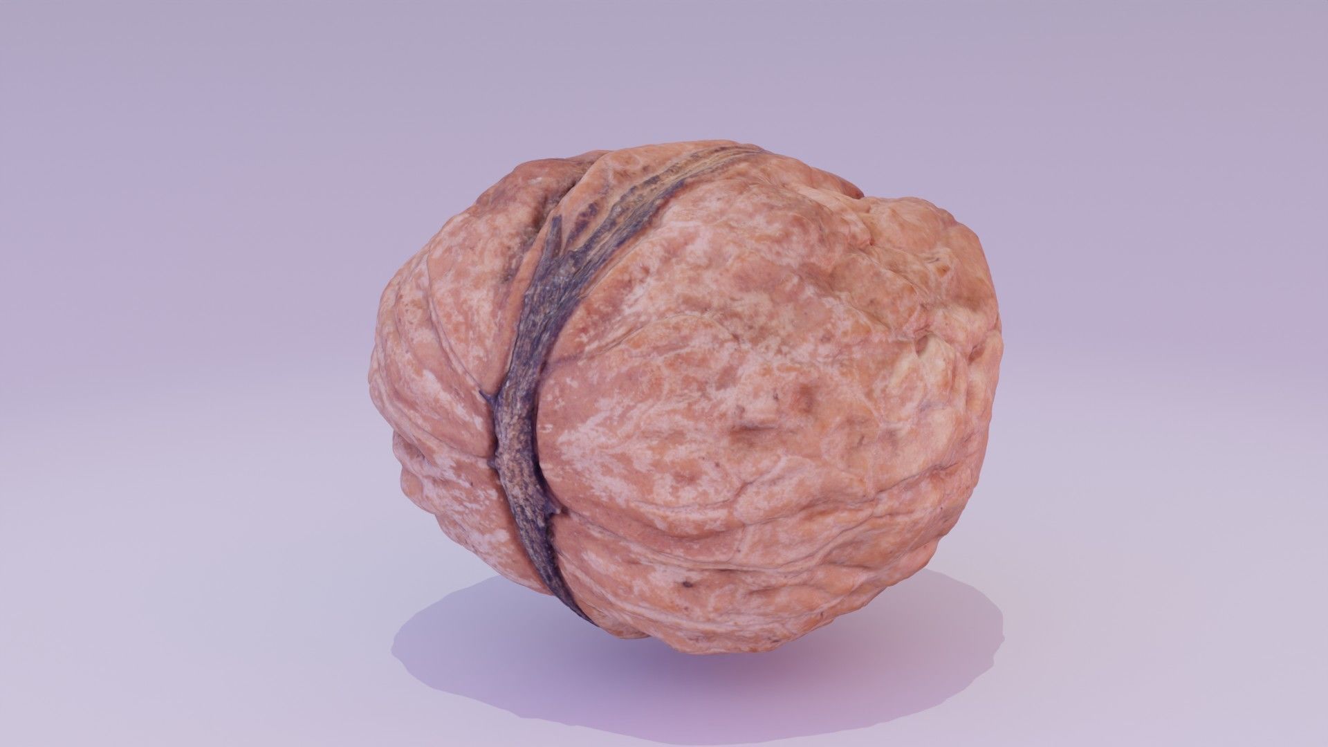 Walnut fruit 01 high-poly 3D model_20