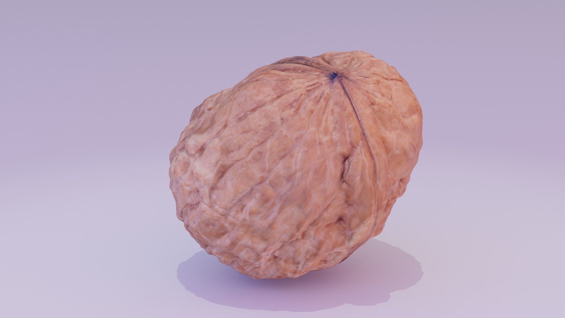 Walnut fruit 01 high-poly 3D model_17