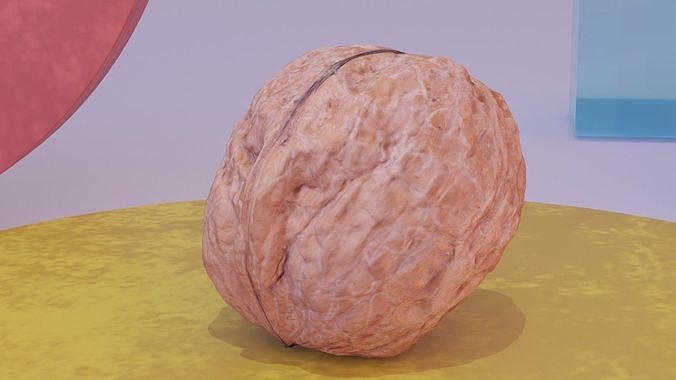 Walnut fruit 01 high-poly 3D model 4