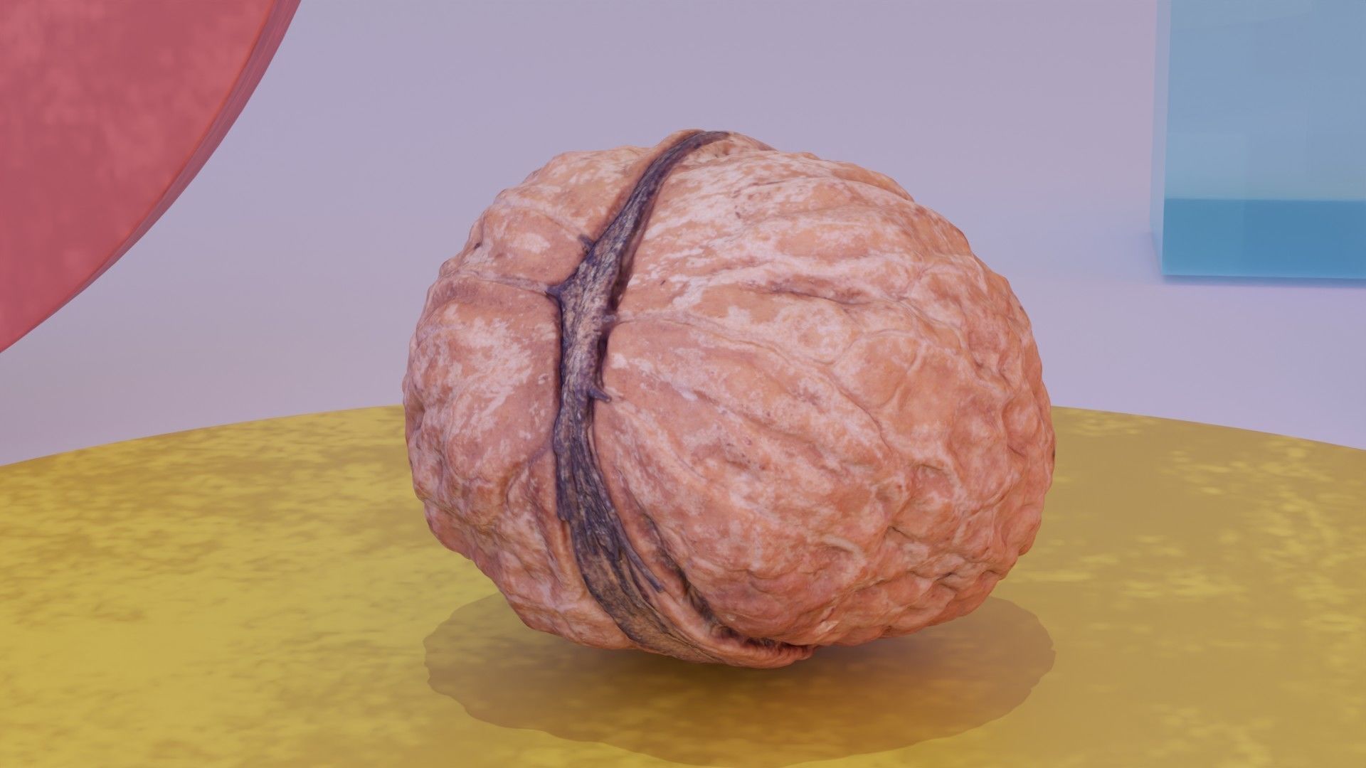 Walnut fruit 01 high-poly 3D model_7