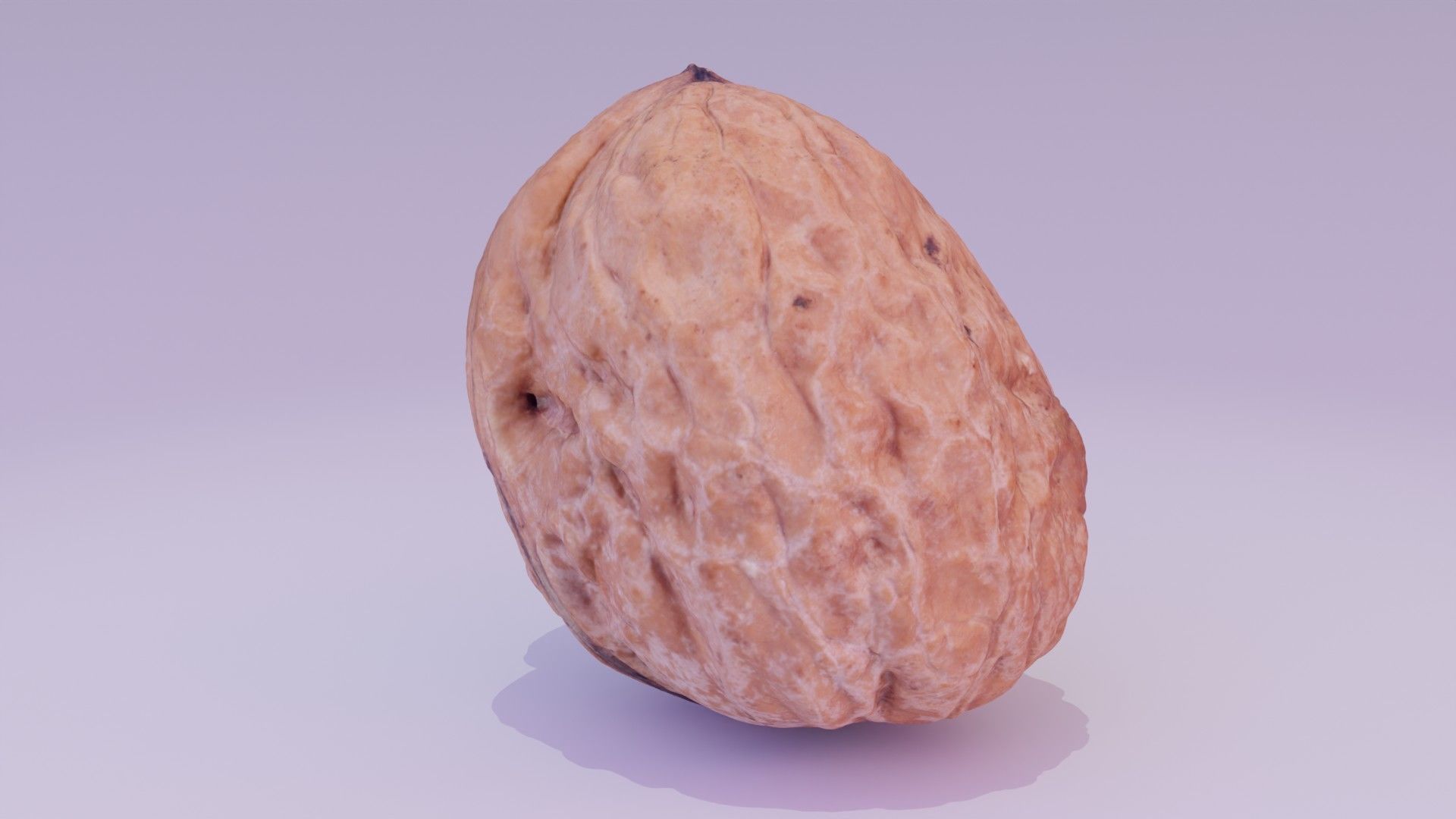 Walnut fruit 01 high-poly 3D model_12