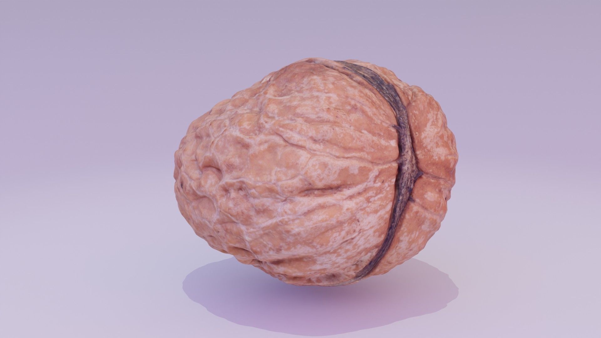 Walnut fruit 01 high-poly 3D model_22