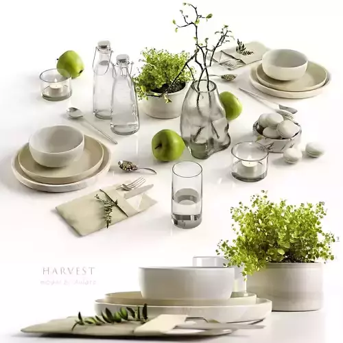 Harvest 3D model