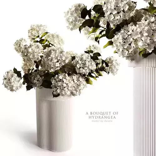 A bouquet of hydrangea 2 3D model