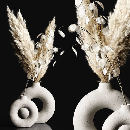 Pampas and lunaria 3D model