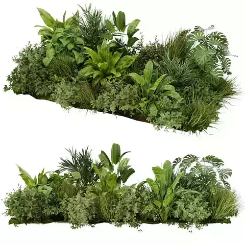 Collection plant vol 283 - outdoor - garden - leaf 3D model