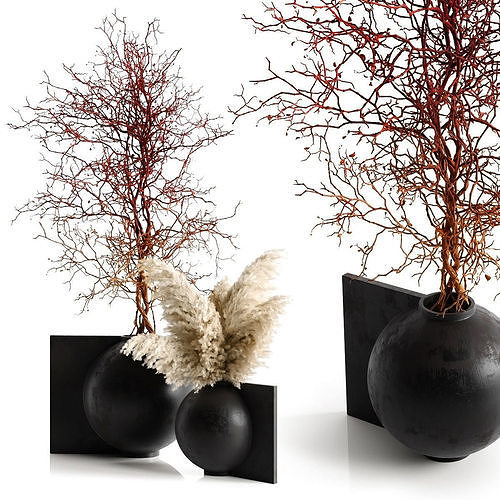 Pampas and branching tree 3D model