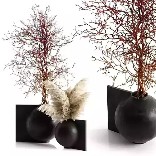Pampas and branching tree 3D model
