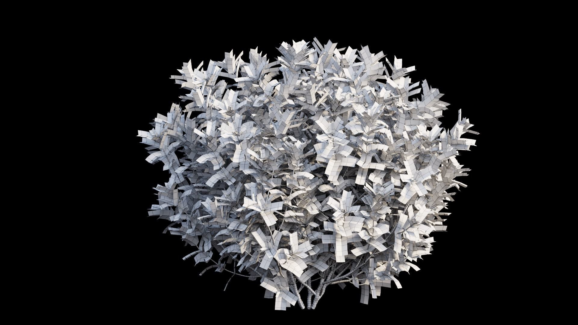 Gardenia angustifolia Merr plant set 07 3D model_12