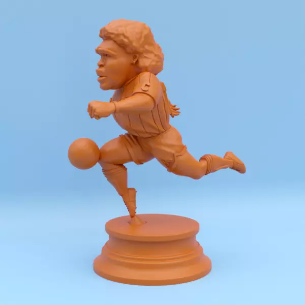 Diego Maradona 3D print model_0
