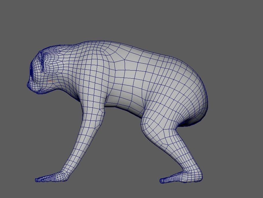 Slow Loris Body Base 3D model_2