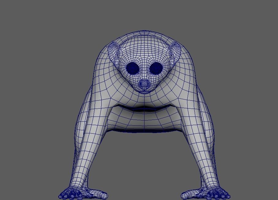 Slow Loris Body Base 3D model_1