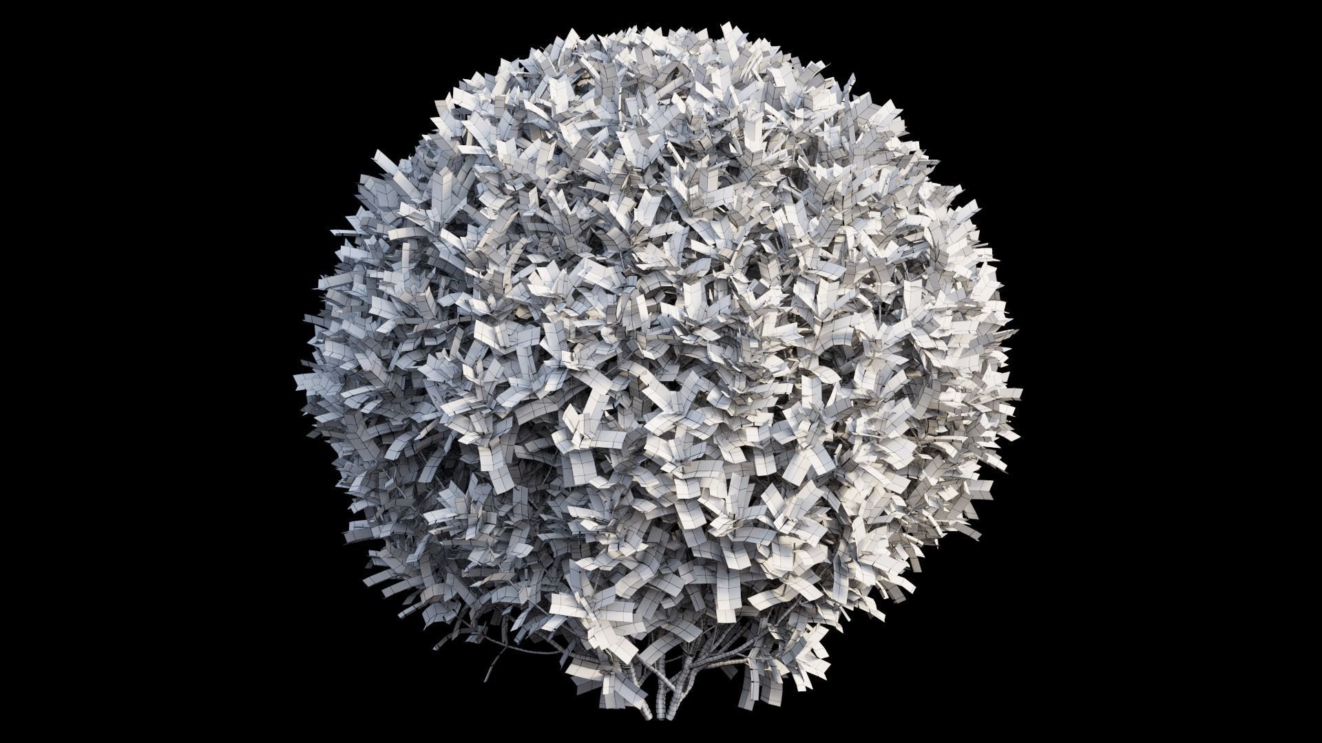 Gardenia angustifolia Merr plant set 08 3D model_10