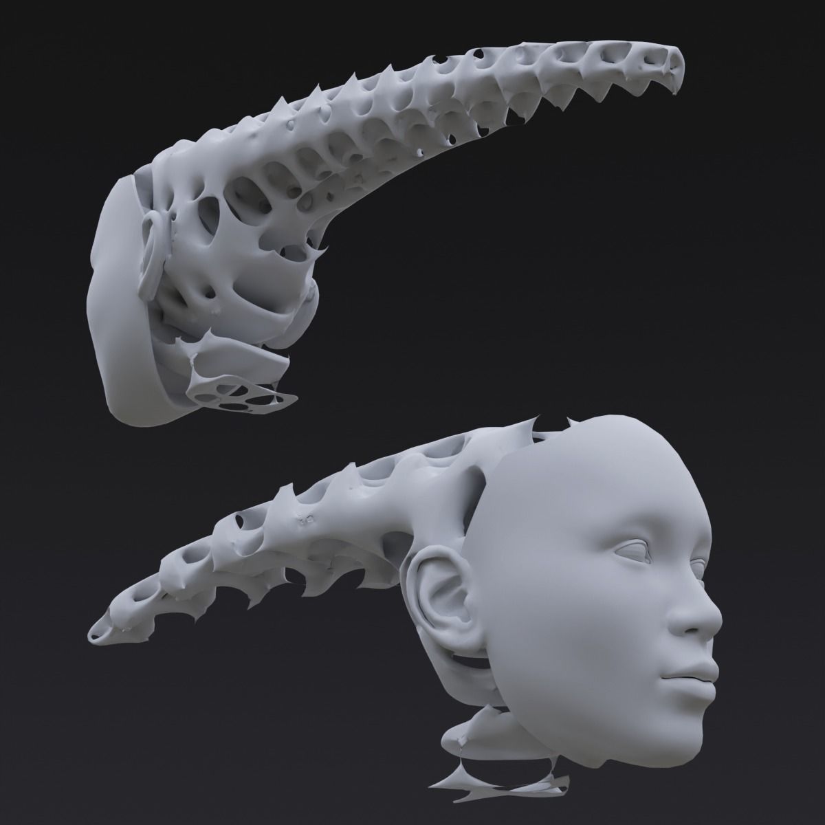 Gyroid Skull 3D model_6