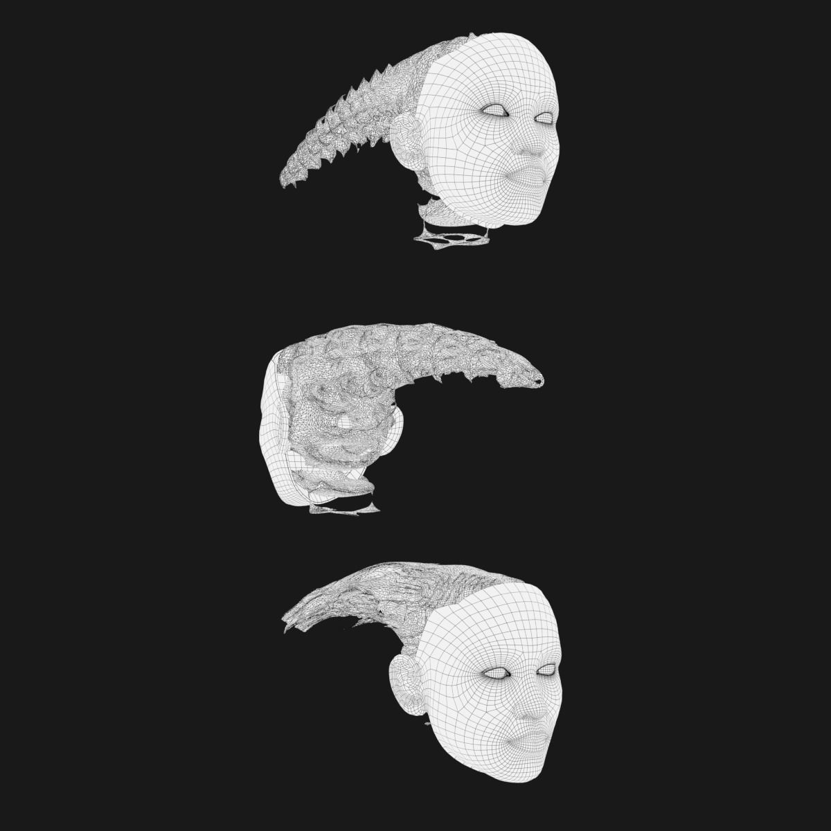 Gyroid Skull 3D model_14