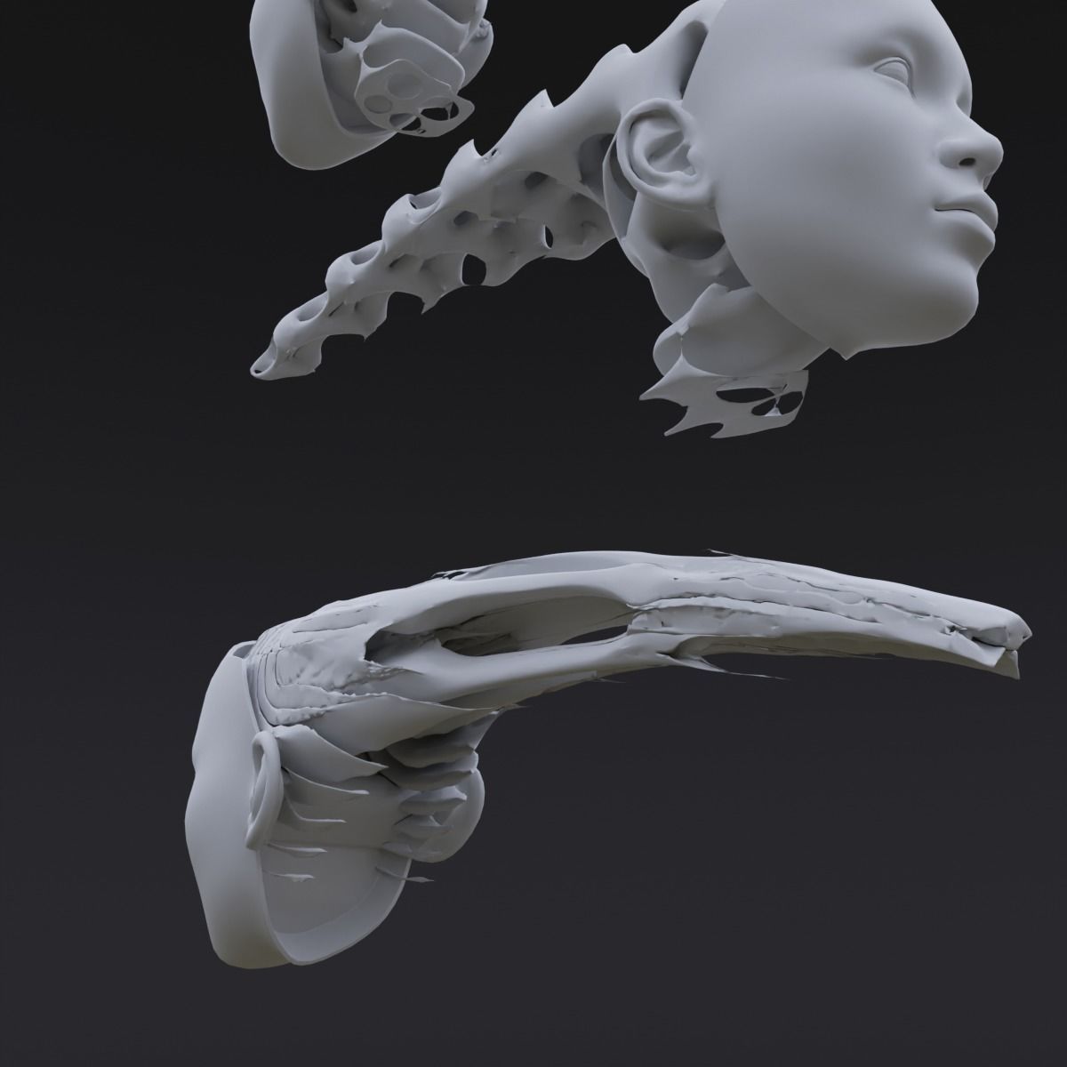 Gyroid Skull 3D model_9