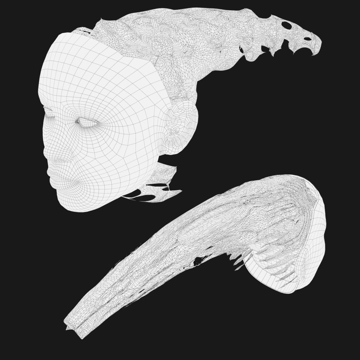 Gyroid Skull 3D model_18