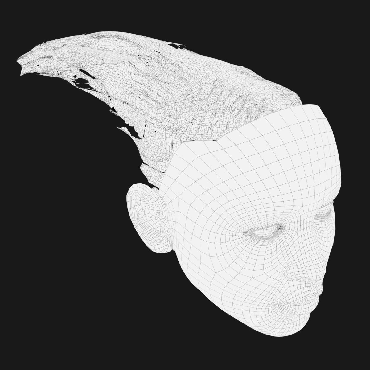 Gyroid Skull 3D model_17
