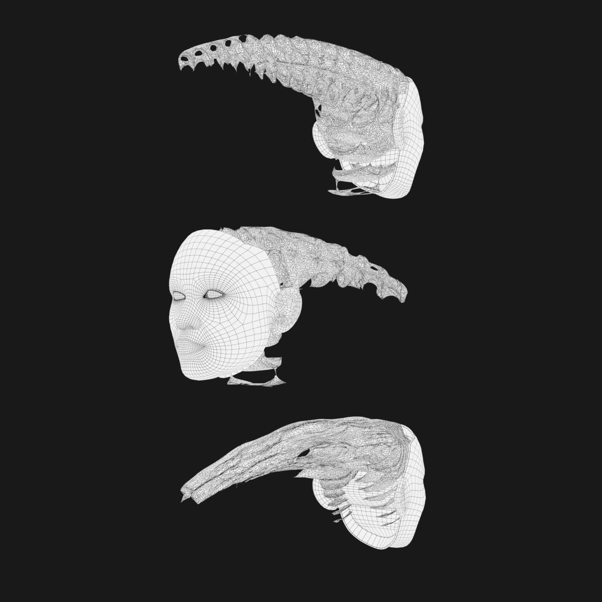 Gyroid Skull 3D model_12