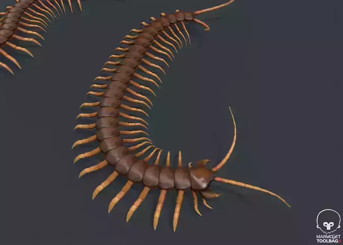 Pbr Centipede ball with Low-poly 3D model