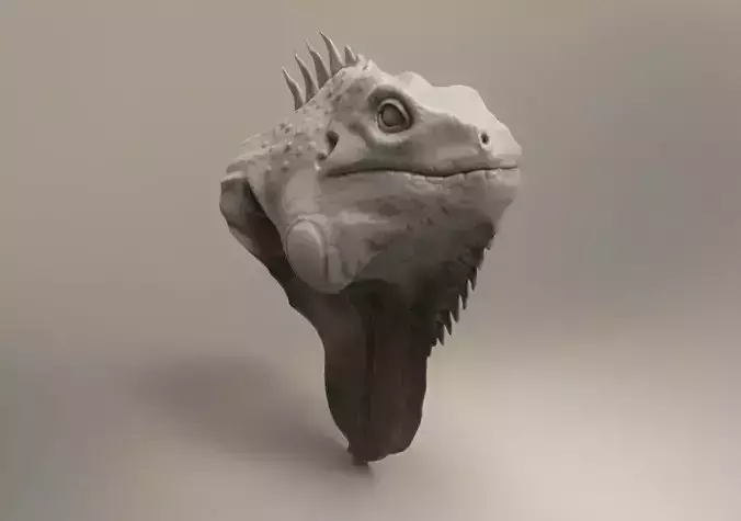 Iguana head