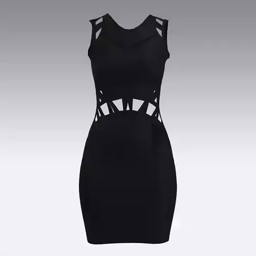 BLACK DRESS PANELED LOOK STYLE