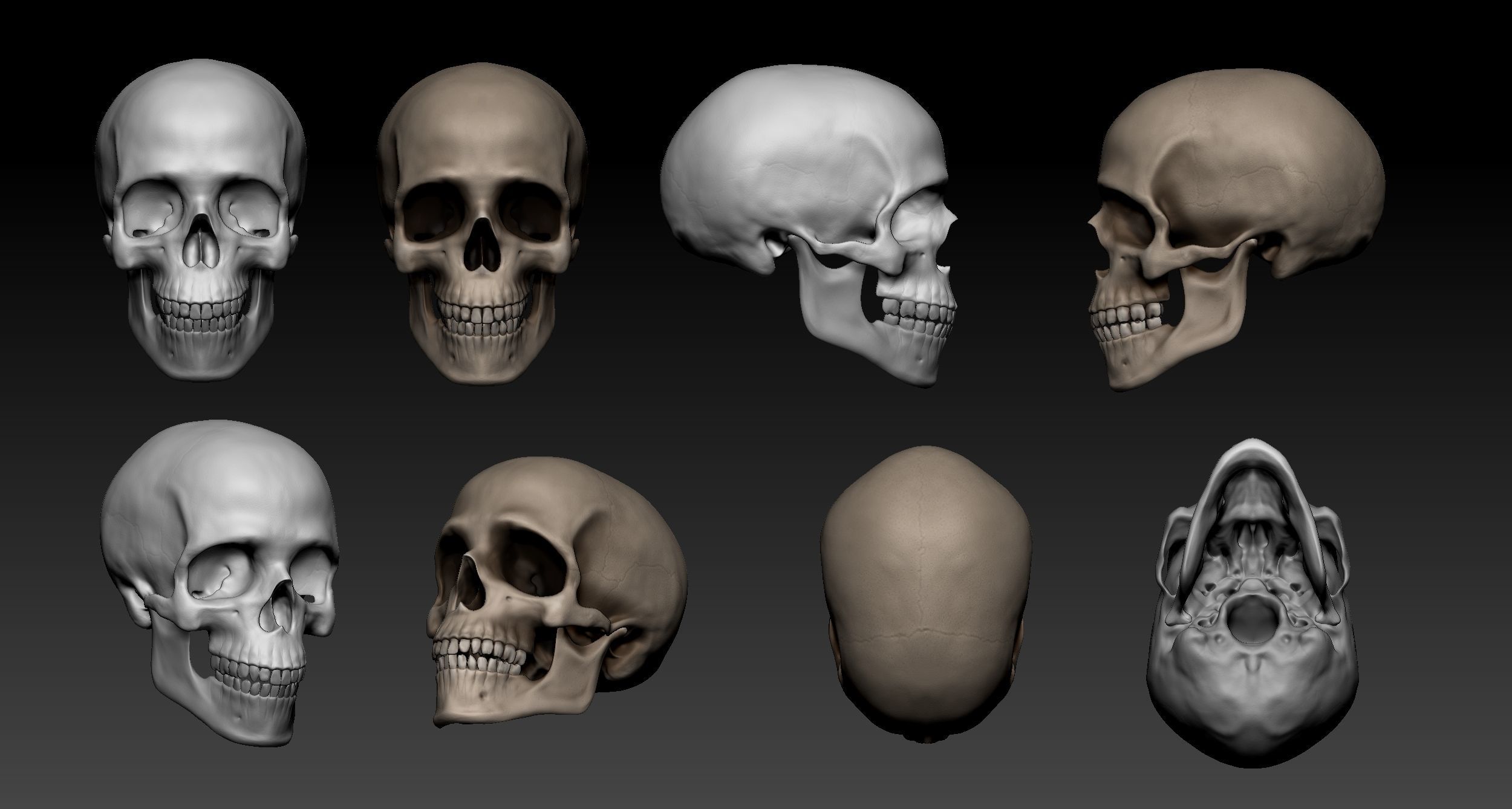 Human skull 3D print model_2