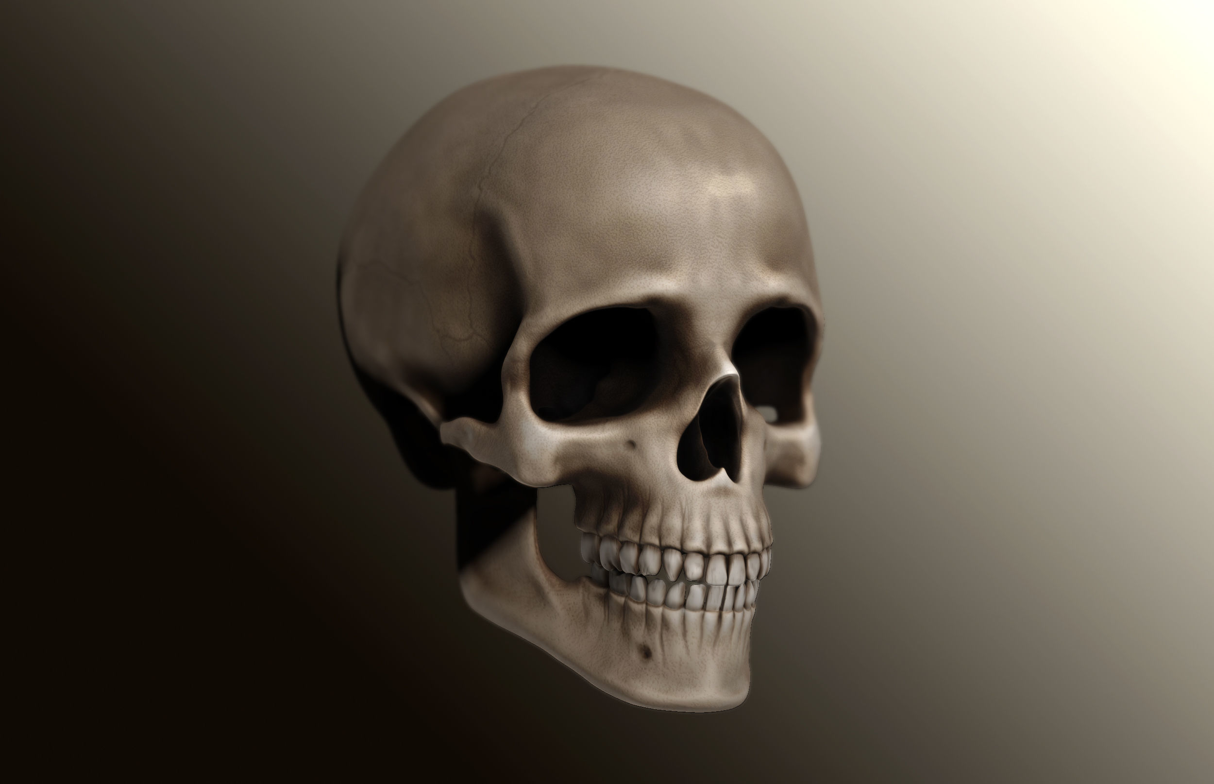 Human skull 3D print model_1