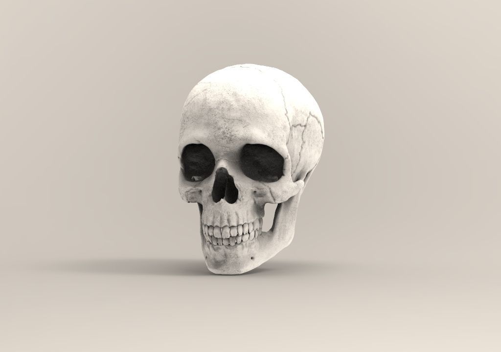 Human skull 3D print model_3