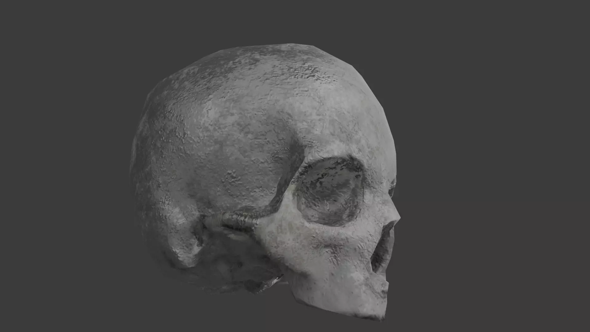 skull Free low-poly 3D model
