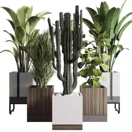 Indoor plant wooden and concrete dirt vase bax pot palm cactus