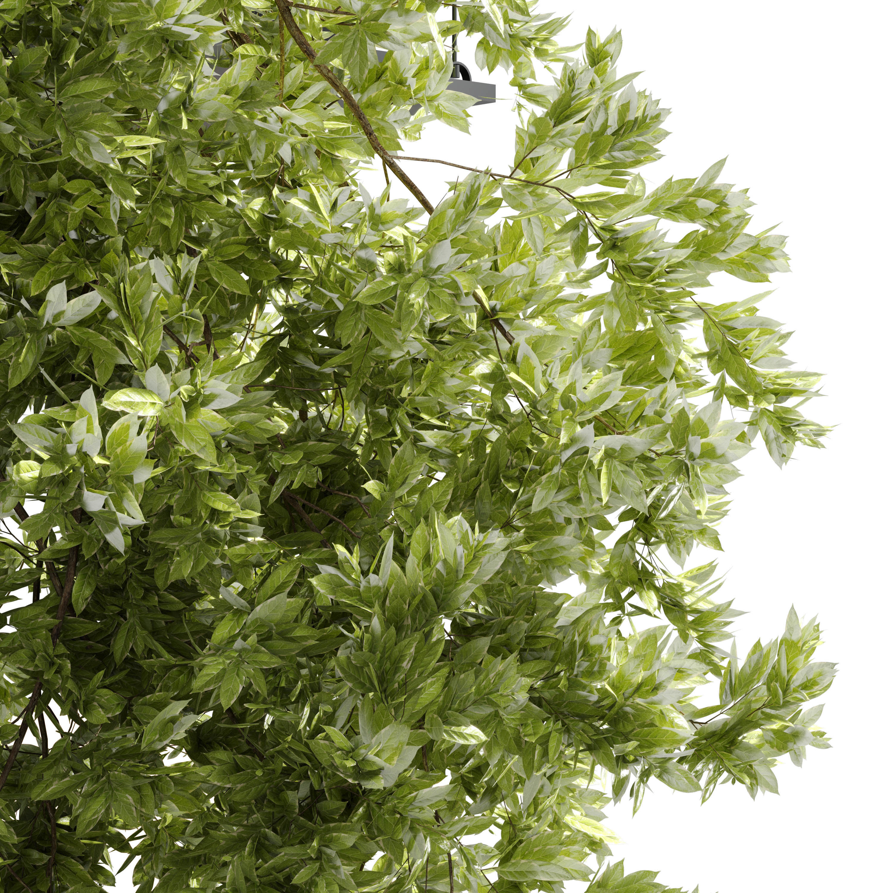 collection outdoor Indoor plants hanging pot 14-metal bax vase  3D model_2