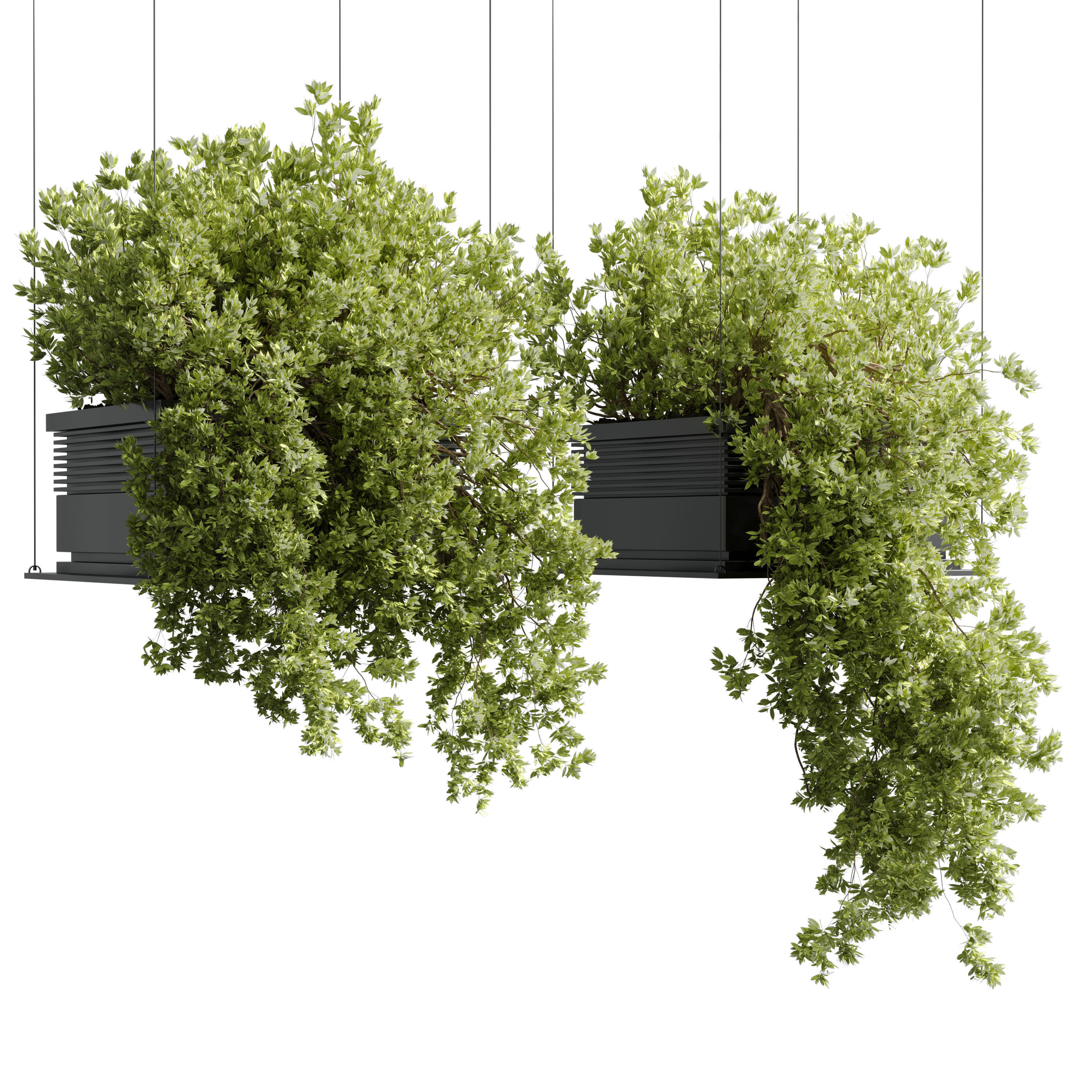 collection outdoor Indoor plants hanging pot 14-metal bax vase  3D model_1