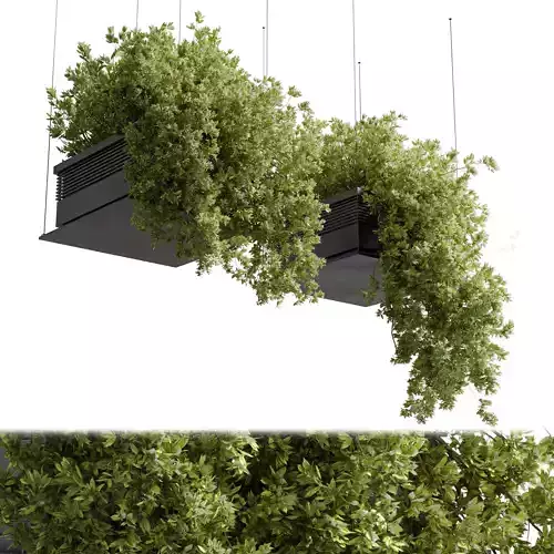 collection outdoor Indoor plants hanging pot 14-metal bax vase  3D model