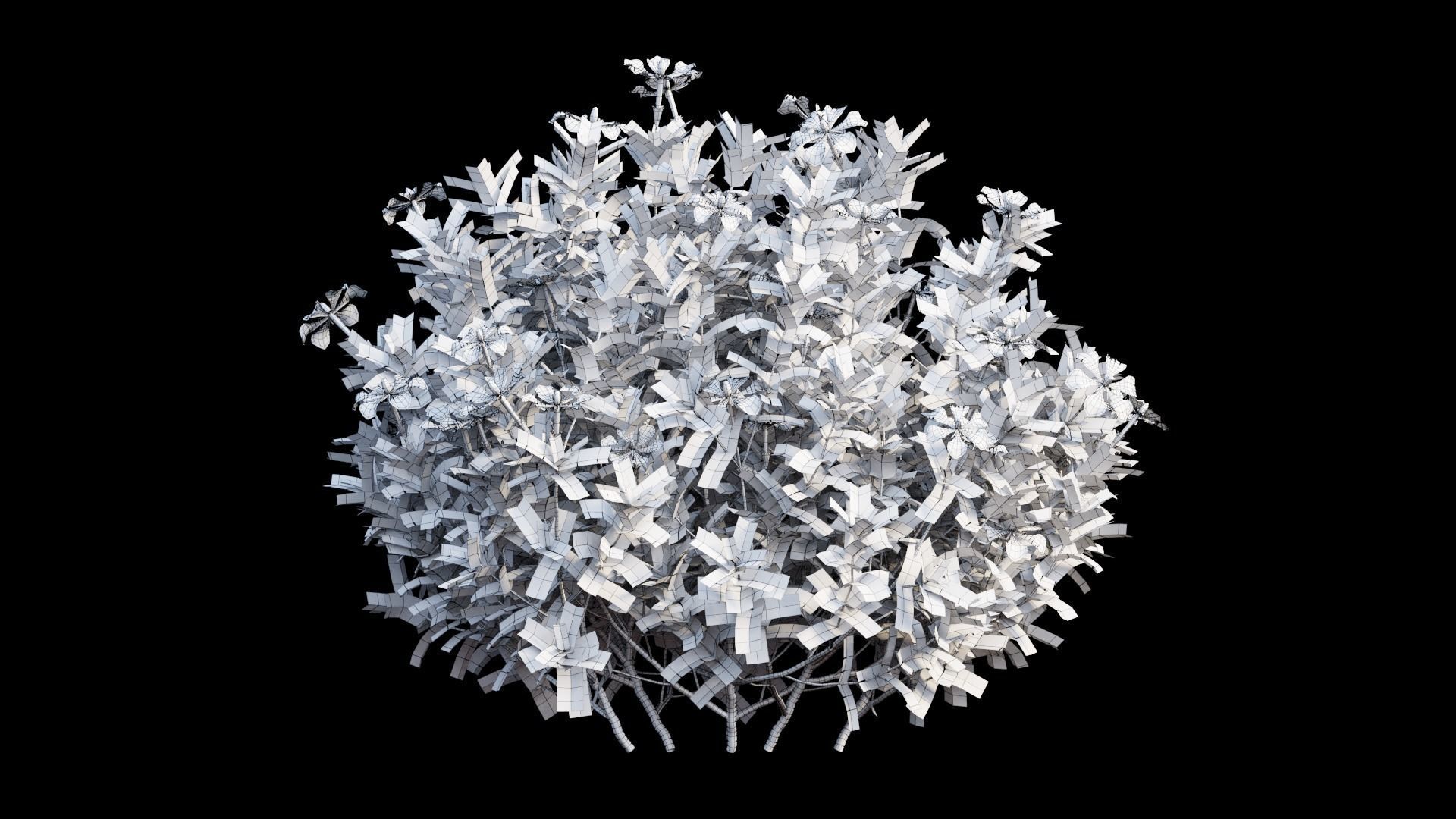 Gardenia angustifolia Merr plant set 12 3D model_6