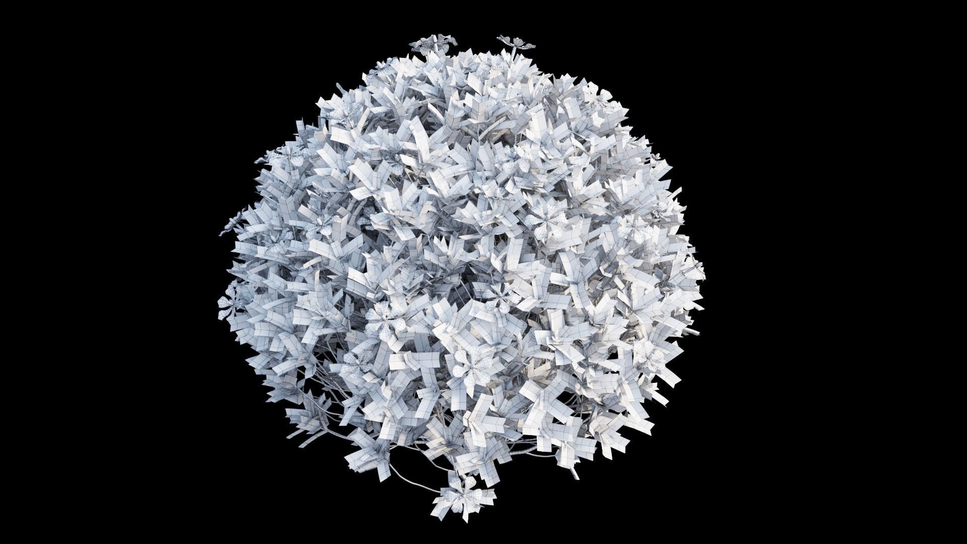 Gardenia angustifolia Merr plant set 11 3D model_8