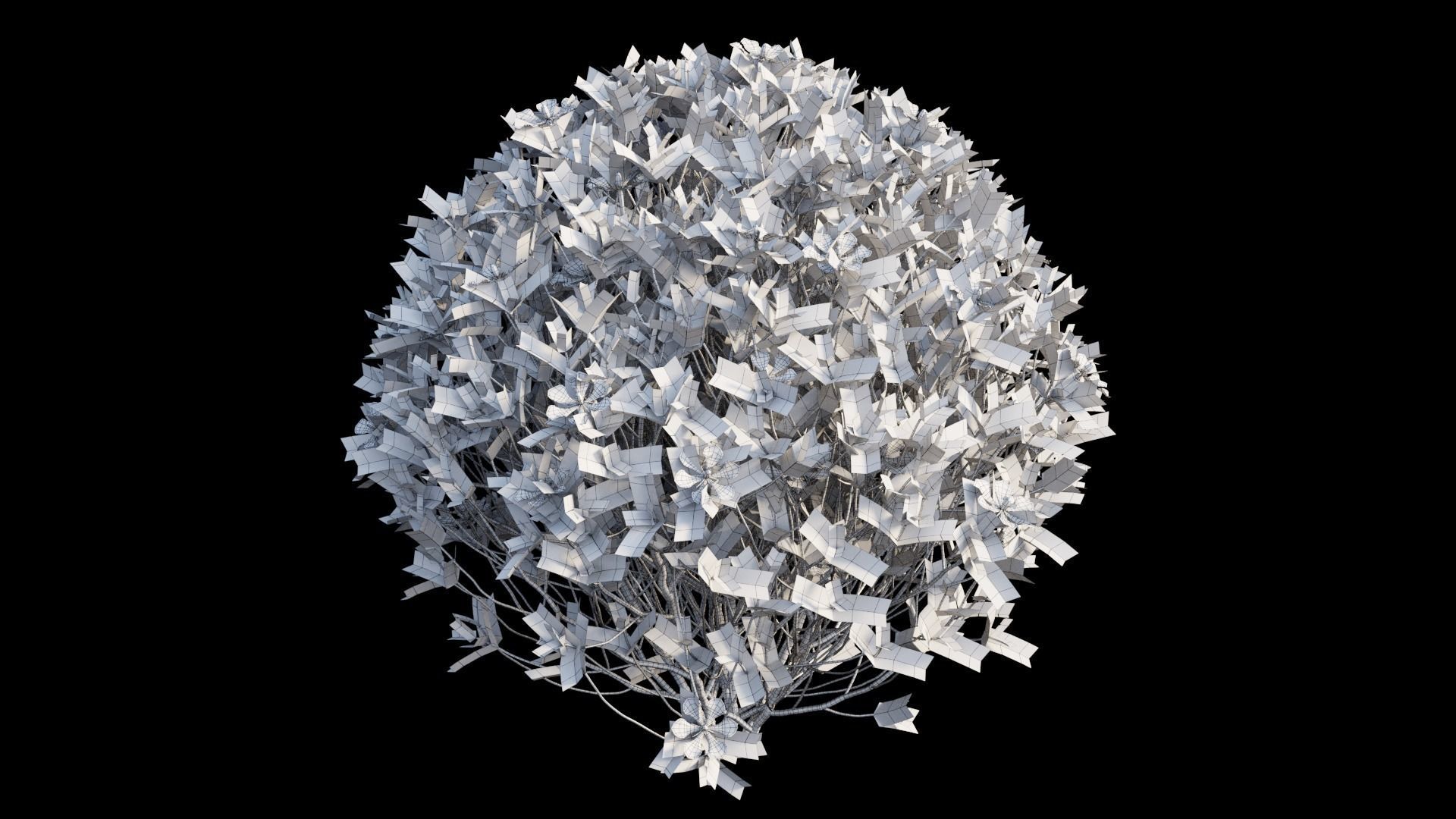 Gardenia angustifolia Merr plant set 11 3D model_18