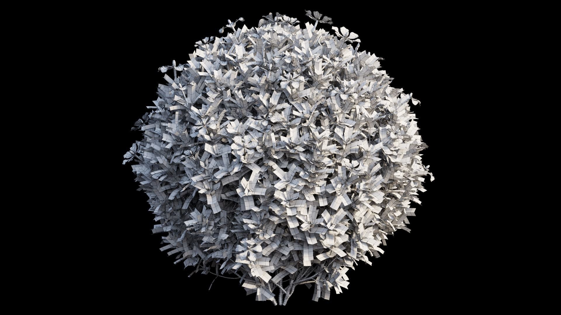 Gardenia angustifolia Merr plant set 11 3D model_10