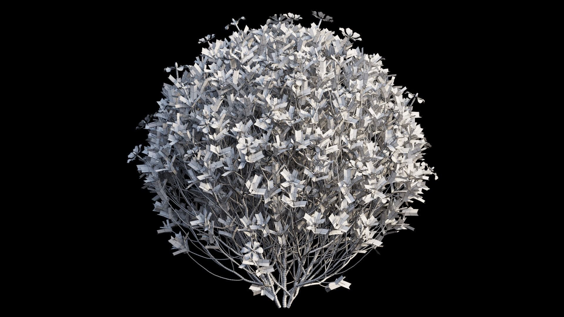 Gardenia angustifolia Merr plant set 11 3D model_15