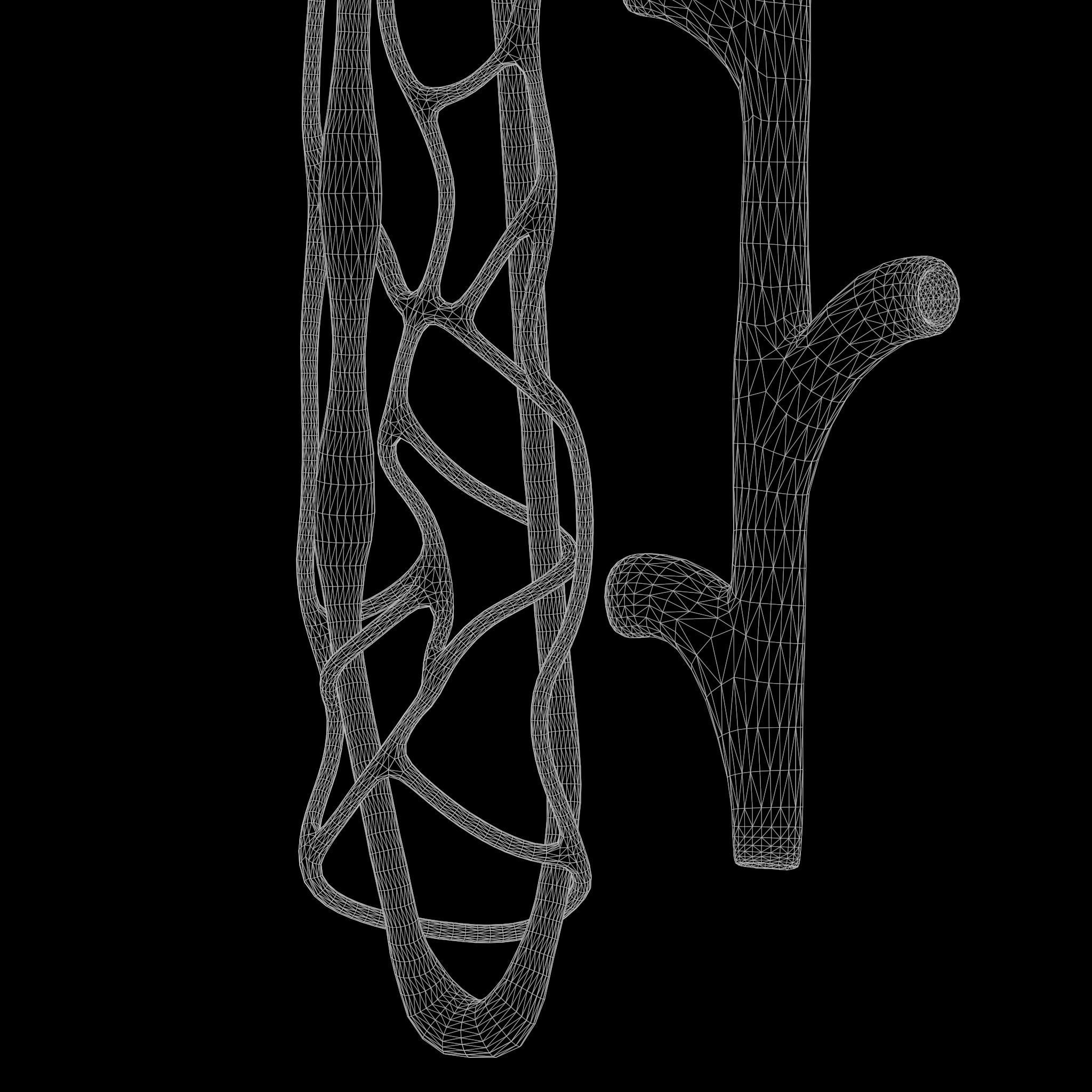 Kidney Nephron 3D model_8