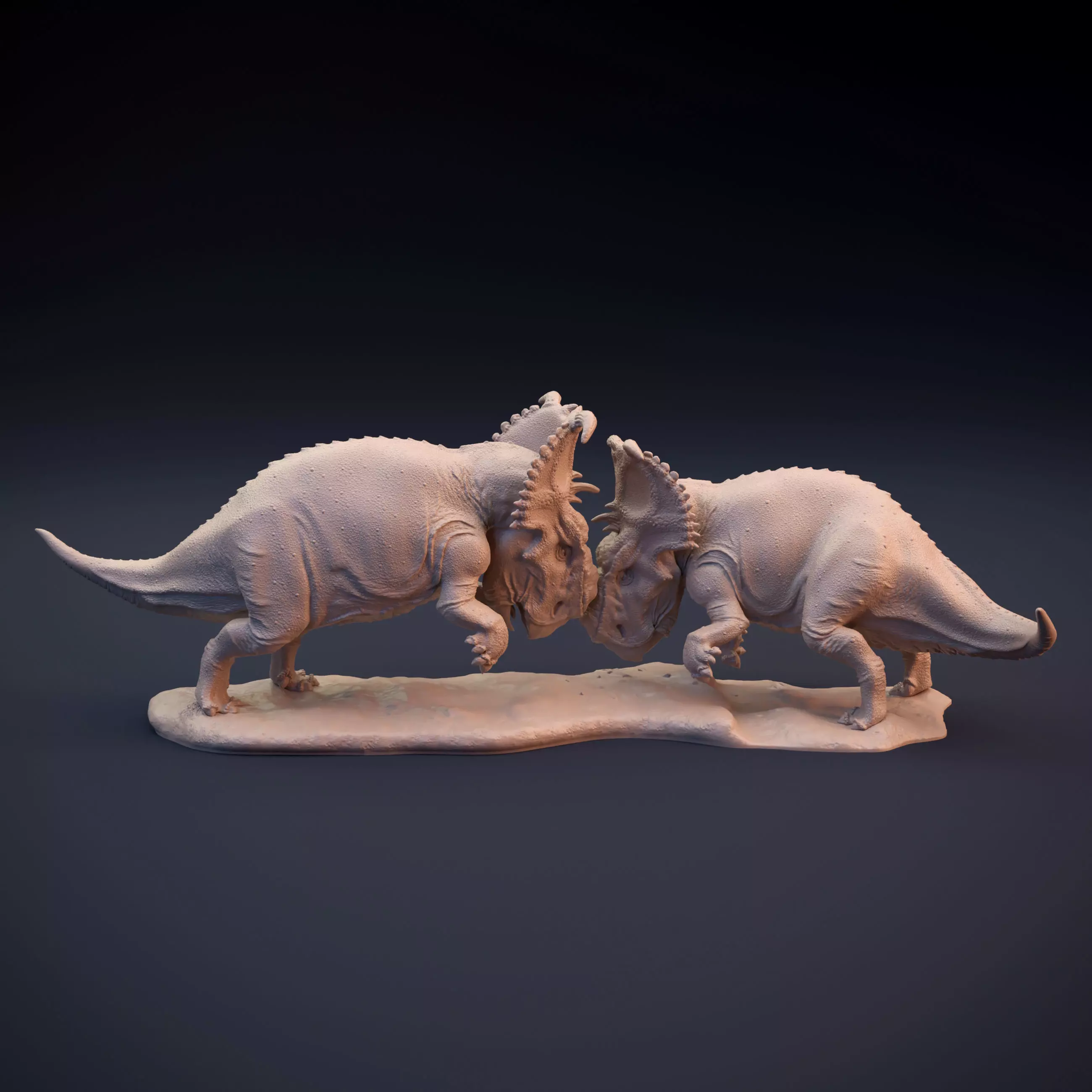 Pachyrhinosaurus fighting intended for 3D printing 3D print model