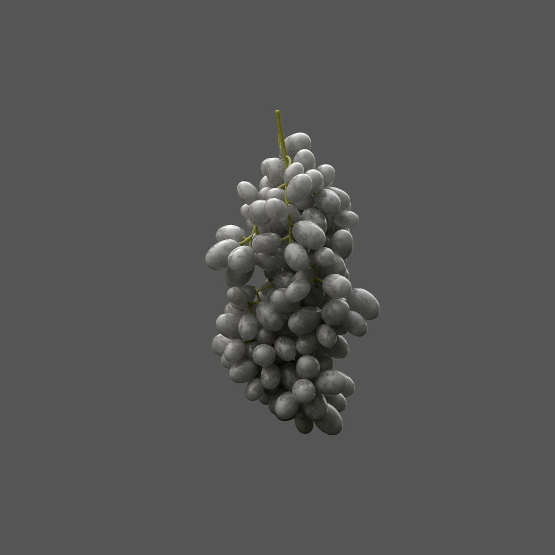 GRUNDFORM - Grape Vines Collection 3D model_18
