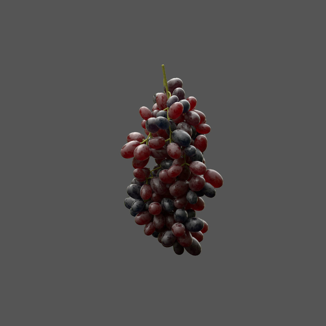 GRUNDFORM - Grape Vines Collection 3D model_5